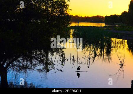 Lake Monger Reserve Stock Photo