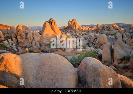 USA, United States of America, california, palm Springs, Joshua Tree National Park, jumbo rocks campground, white King campground, Stock Photo