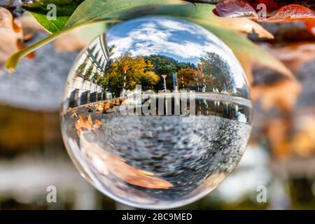 the village square capturing the rain puddles and autumn trees and foliage Stock Photo