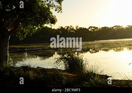 Lake Monger Reserve Stock Photo