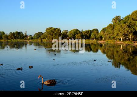 Lake Monger Reserve Stock Photo