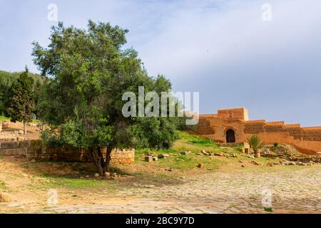 Roman Ruins at Chellah in Rabat Morocco Stock Photo