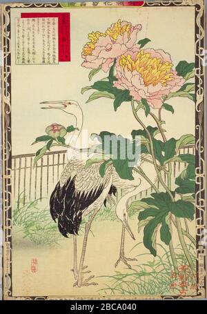 日本語 楳嶺花鳥画譜 より 春 十三 芍藥 鸖 大判錦絵 English Spring 13 Chinese Peony And Cranes From The Series Bairei Kachō Gafu Woodblock Print 日本語 明治16年出版published In 18 This Image Is Available From The Website Of The