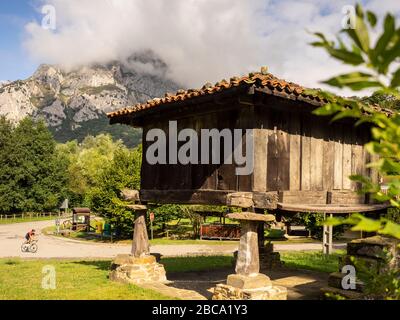 Road cycling in Asturias, northern Spain. Horreos are called the old Asturian granaries. Racing cyclist passes old granary in Las Agüeras, Cordillera Stock Photo