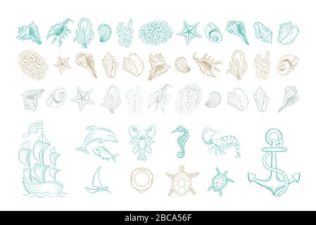 Marine line art vector icons of sea shells, anchor and mollusks. Hand drawn hatching design set of marine seashell, seahorse, dolphin fish and turtle, anchor and buoy, corals, shrimp and yacht ship Stock Vector