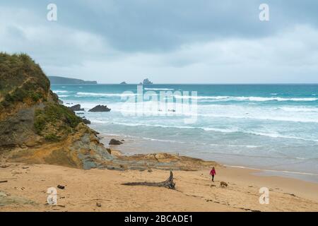 Spain, north coast, Cantabria, Canallave, woman with dog Stock Photo