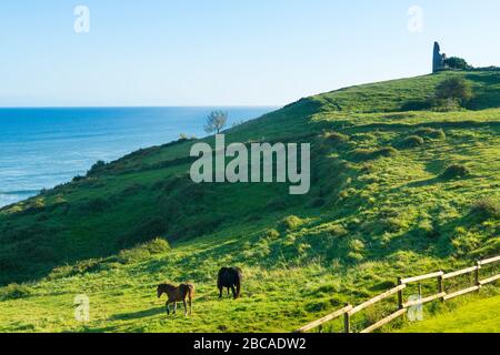 Spain, north coast, Cantabria, Playa de Linera, grazing horses in the morning light Stock Photo