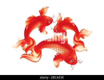 Group of res Koi carps on white background Stock Vector