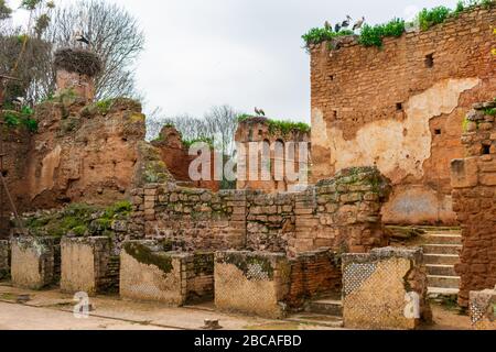 Ruins at Chellah in Rabat Morocco Stock Photo