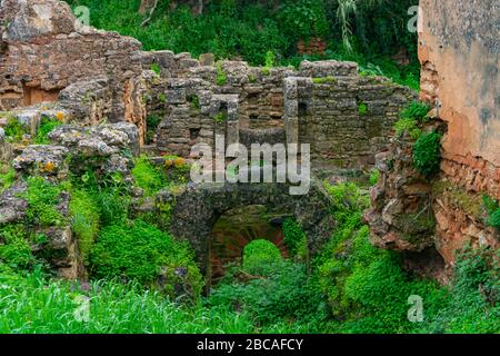 Ruins at Chellah in Rabat Morocco Covered in Greenery Stock Photo