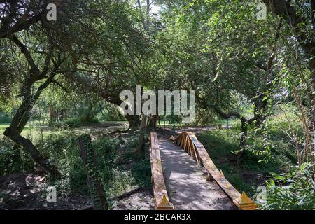 a view of the bridge of the natural park Francisco Tau in Bell Ville, Cordoba province, Argentina Stock Photo