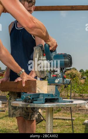two craftsmen are working on a circular saw to saw wooden beams Stock Photo