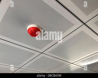 Fire detector at false ceiling. Fire alarm system. Stock Photo