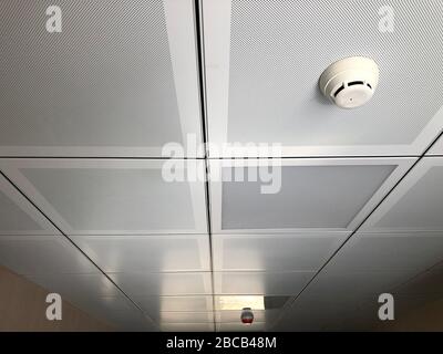 Fire detector at false ceiling. Fire alarm system. Stock Photo