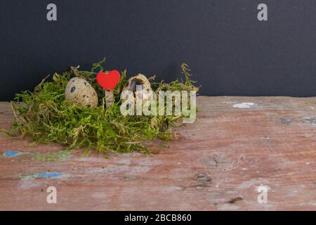 Two quail eggs and a heart between them stand on the green can. Easter concept symbolizing a couple in love Stock Photo