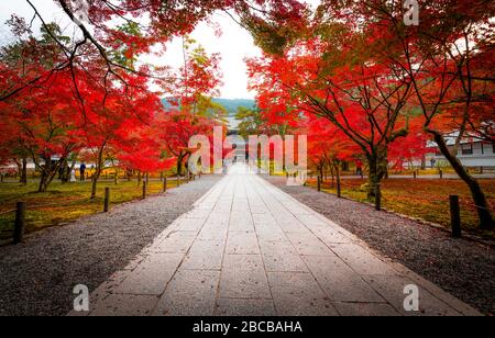 The red canopy walkway Stock Photo