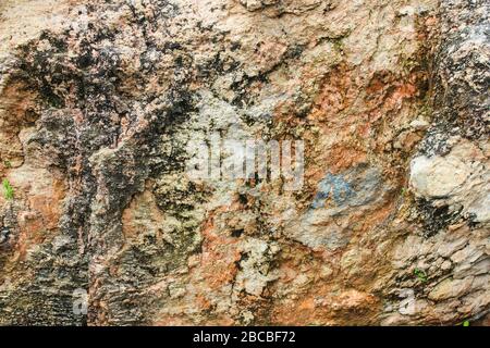 The structure of the old stone of the mountain wall with plants, moss and lichen on it Stock Photo
