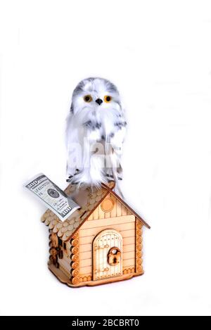 Piggy Bank And Drawing Of House On White Background Concept Of Money And Dream Stock Photo Alamy - piggy background roblox house drawing