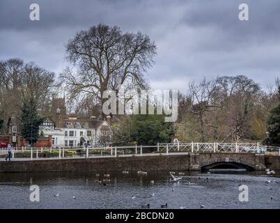 CARSHALTON, ENGLAND - MARCH 15 2020: Carshalton ponds in spring sunshine with bridge. Honeywood Museum with daffodils. Historic village. Stock Photo