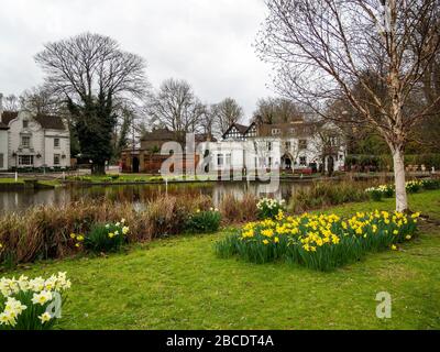 CARSHALTON, ENGLAND - MARCH 15 2020: Carshalton ponds in spring sunshine. Honeywood Museum with daffodils. Historic village. Stock Photo