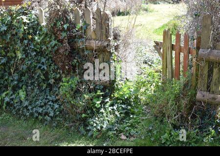 Dilapidated garden gate, Yeovil, Somerset Stock Photo