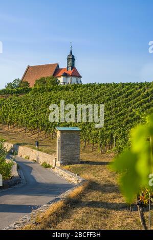 Vineyard, pilgrimage church Maria in the vineyard and blue sky in sunshine near the town Volkach Stock Photo