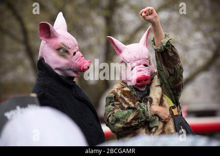 Two protesters wearing pig masks, one of whom has their fist raised in the air, at an Anti-Austerity demonstration in Trafalgar Square, London Stock Photo