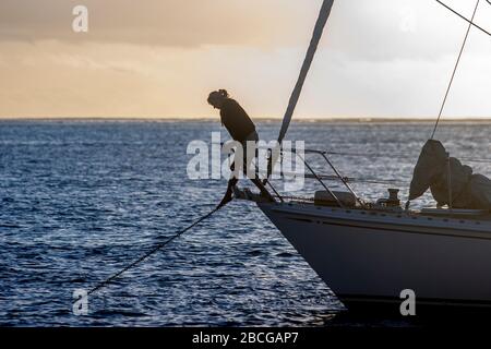 young woman checking the anchor chain of a sailing yacht at the anchorage in Opunohu Bay in Moorea, french Polynesia, Society Islands Stock Photo