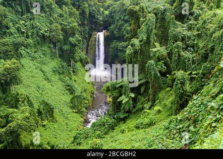 Pjula Waterfall in rainforest of the Republic of Samoa, Polynesia Stock Photo