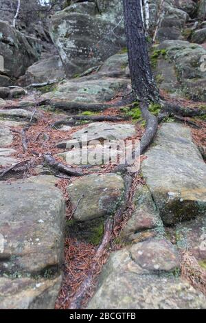 Mill Bulff State Park Stock Photo