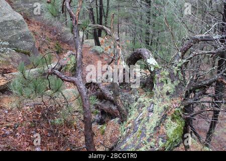 Mill Bulff State Park Stock Photo