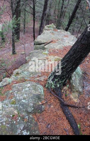 Mill Bulff State Park Stock Photo