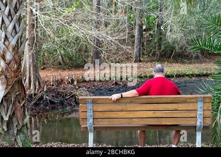 Man sitting on a bench overlooking the park at Ravine Gardens State Park in Palatka,FL. USA Stock Photo