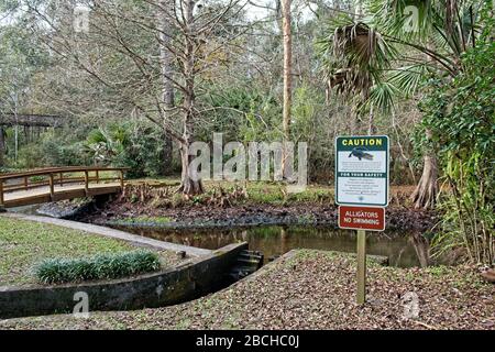 Bridges and walkways over the ravine at Ravine Gardens State Park in Palatka, Florida USA Stock Photo