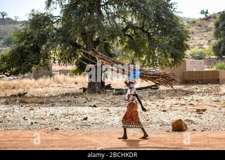 Africa, Burkina Faso, Pô region, Tiebele. A woman is walking on a dirt road xwith stacked branches on her head Stock Photo
