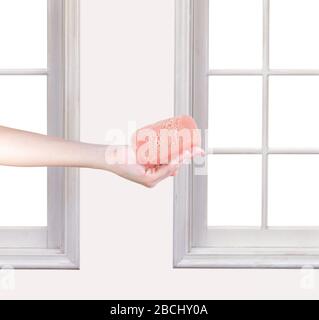 A pink soap for washing hands. inside the house. Stock Photo