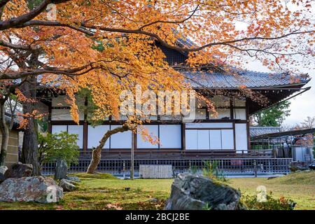 Japanese garden full of colorful leaves in autumn Stock Photo