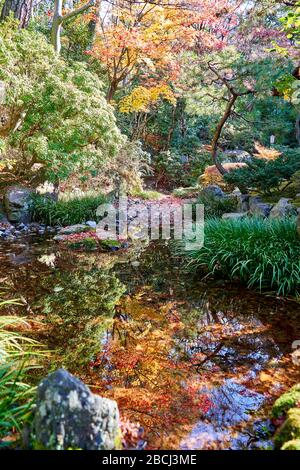 Autumn colors reflecting on the surface of the pond in Japanese garden Stock Photo