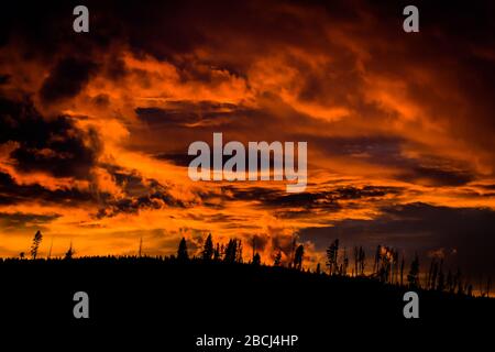 Smoke caused by forest fires in the Peruvian Amazon Stock Photo - Alamy