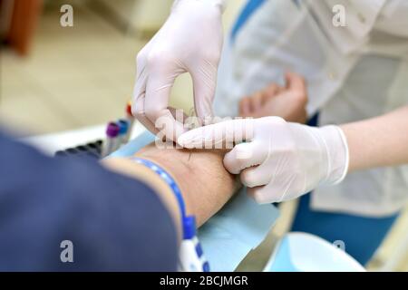 Taking venous blood from a patient in a laboratory. Puncture step of skin and vein with a vacutainer flashback needle. Stock Photo