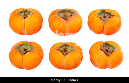 kinglet persimmons path isolated on white Stock Photo