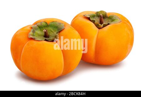kinglet persimmons path isolated on white Stock Photo