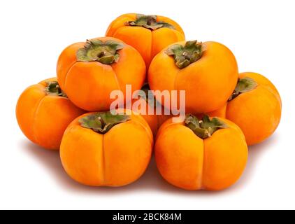kinglet persimmons path isolated on white Stock Photo
