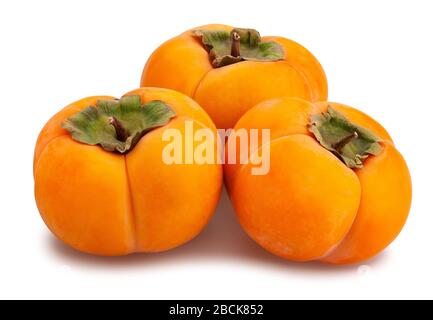 kinglet persimmons path isolated on white Stock Photo