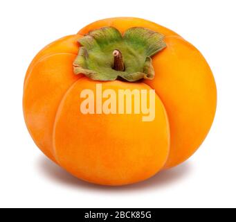 kinglet persimmons path isolated on white Stock Photo