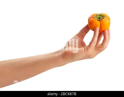 kinglet persimmons in hand path isolated on white Stock Photo