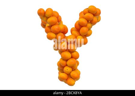 Letter Y from oranges, 3D rendering isolated on  white background Stock Photo