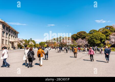 Tokyo, Japan - April 1, 2019: Crowded Imperial palace national gardens park with crowd of people tourists walking by Imperial Household Agency buildin Stock Photo