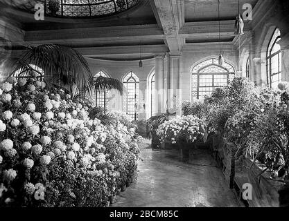 Francais Photographie Jardin D Hiver Casa Loma 1 Terrasse Austin Toronto Ontario Canada Vers 1915 Fonds 1244 Item 4074 English Photographs Conservatory Casa Loma 1 Austin Terrace Toronto Ontario Canada Circa 1915 Fonds 1244 Francais Photographie Jardin D Hiver Casa Loma 1 Terrasse Austin Toronto Ontario Canada Vers 1915 Fonds 1244 Item 4074 English Photographs Conservatory Casa Loma 1 Austin Terrace Toronto Ontario Canada Circa 1915 Fonds 1244