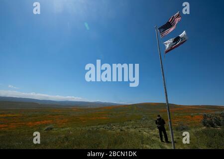 Los Angeles, California, USA. 4th Apr, 2020. A park ranger standing next to the U.S. and California State flags looks toward the empty trails at the Antelope Valley California Poppy Reserve during the global outbreak of the coronavirus disease (COVID-19) in Lancaster, California. With California Gov. Gavin Newsom's stay-at home order and the critical need to help prevent the spread of COVID-19, California State Parks announced Friday additional temporary full closures of parks. Credit: ZUMA Press, Inc./Alamy Live News Credit: ZUMA Press, Inc./Alamy Live News Stock Photo